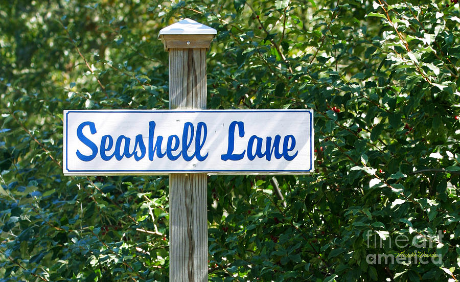 Summer Photograph - Seashell Lane #1 by Michelle Constantine