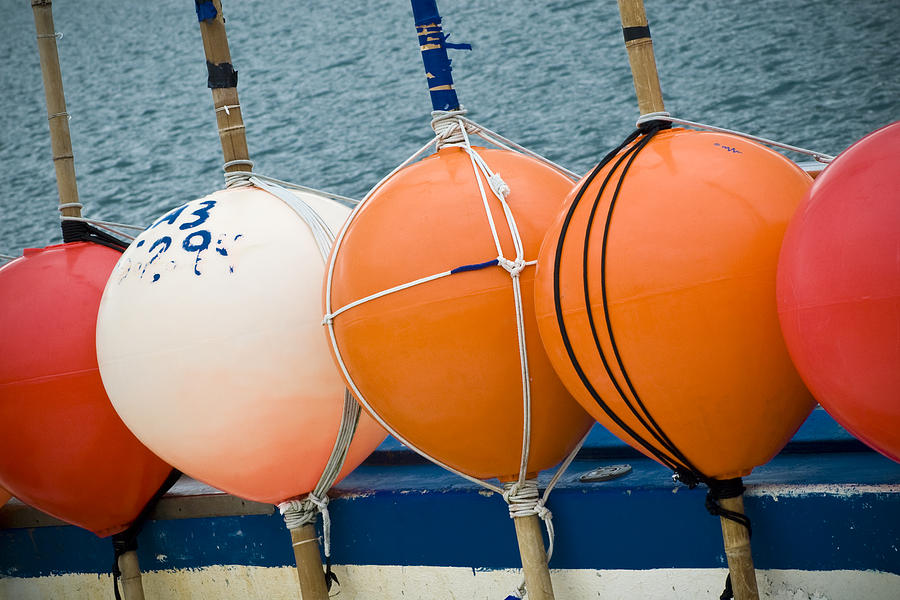 Seaside Colors #1 Photograph by Frank Tschakert