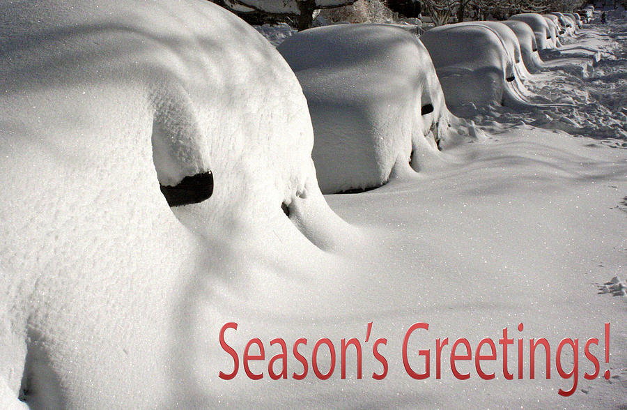 Seasons Greetings #1 Photograph by Stuart Litoff