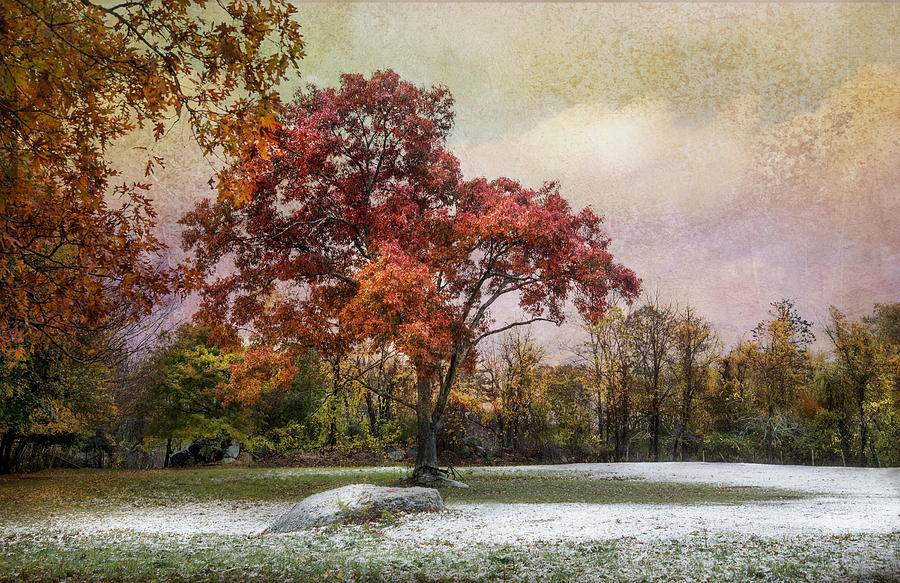 Seasons Mingling #1 Photograph by Robin-Lee Vieira