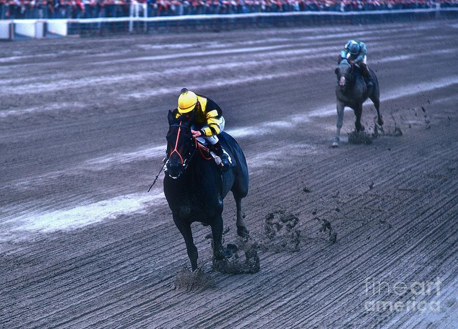 Seattle Slew  #1 Photograph by Marc Bittan