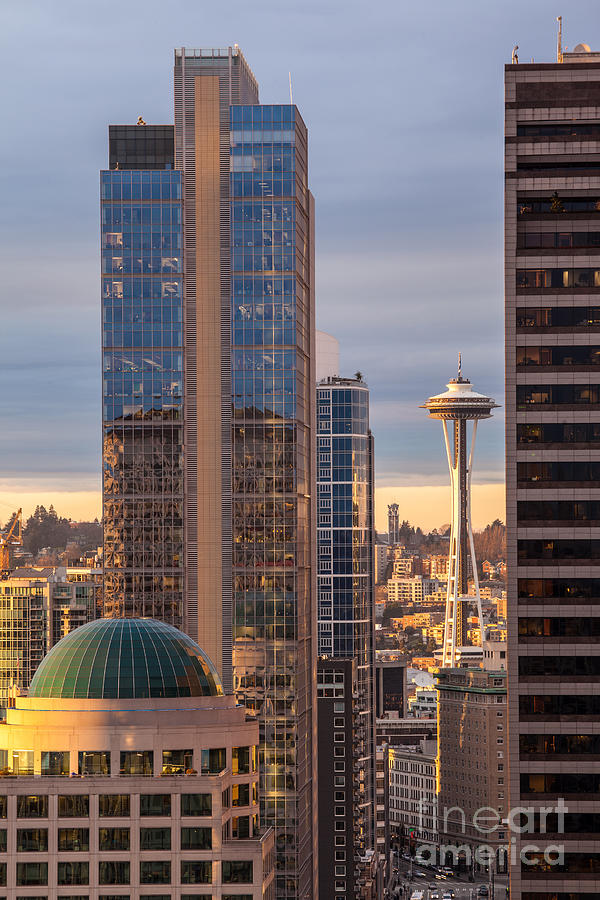 Seattle Space Needle Golden Sunset Light Photograph by Mike Reid - Fine ...