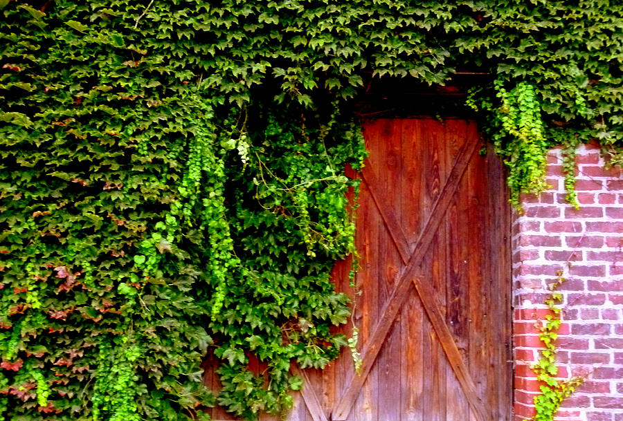 Secret Door #1 Photograph by Jeff Lowe
