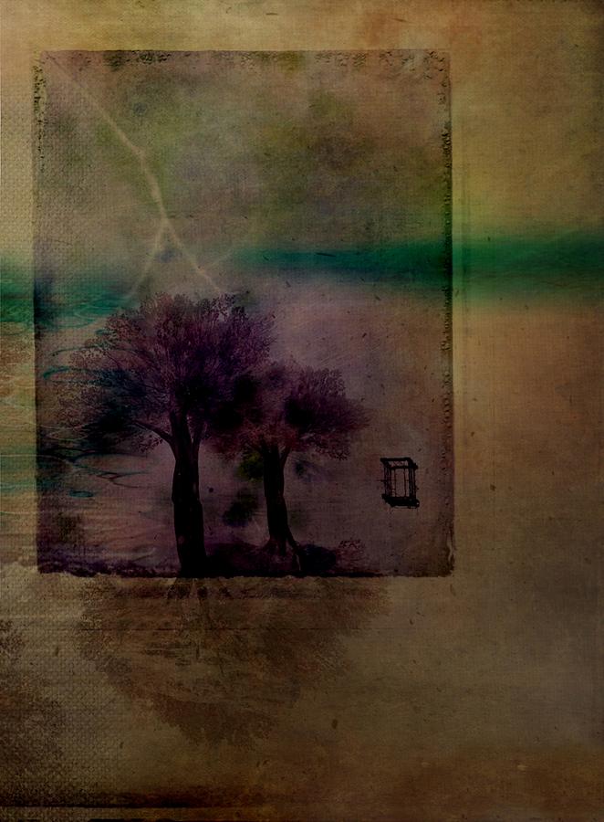 Tree Photograph - Secretly Escape #1 by Delphine Devos
