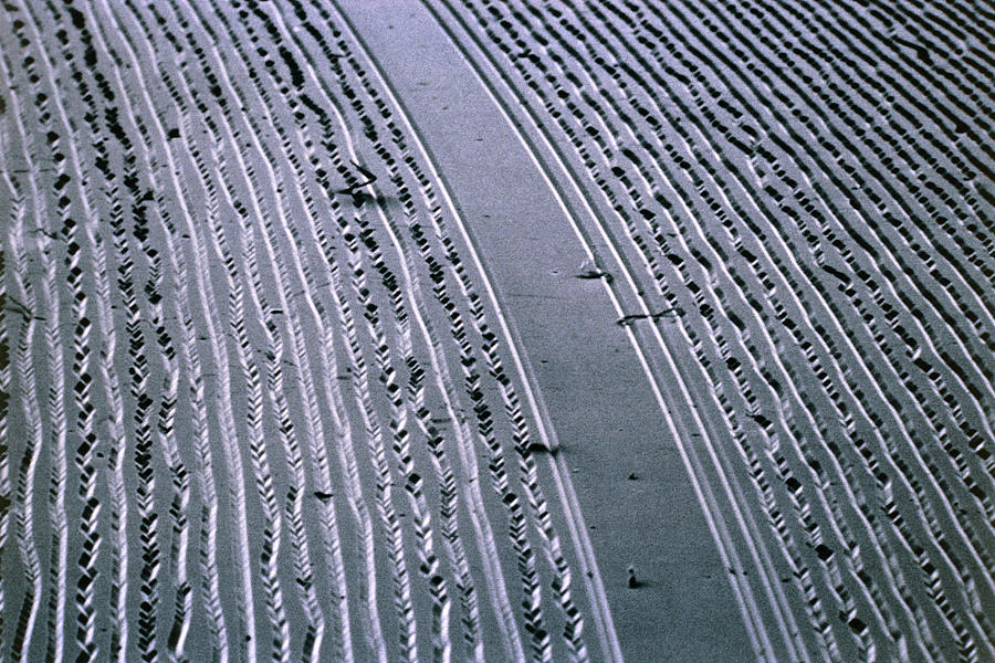 Sem Of Grooves In Lp Record #1 Photograph by Dr. Tony Brain/science Photo Library.