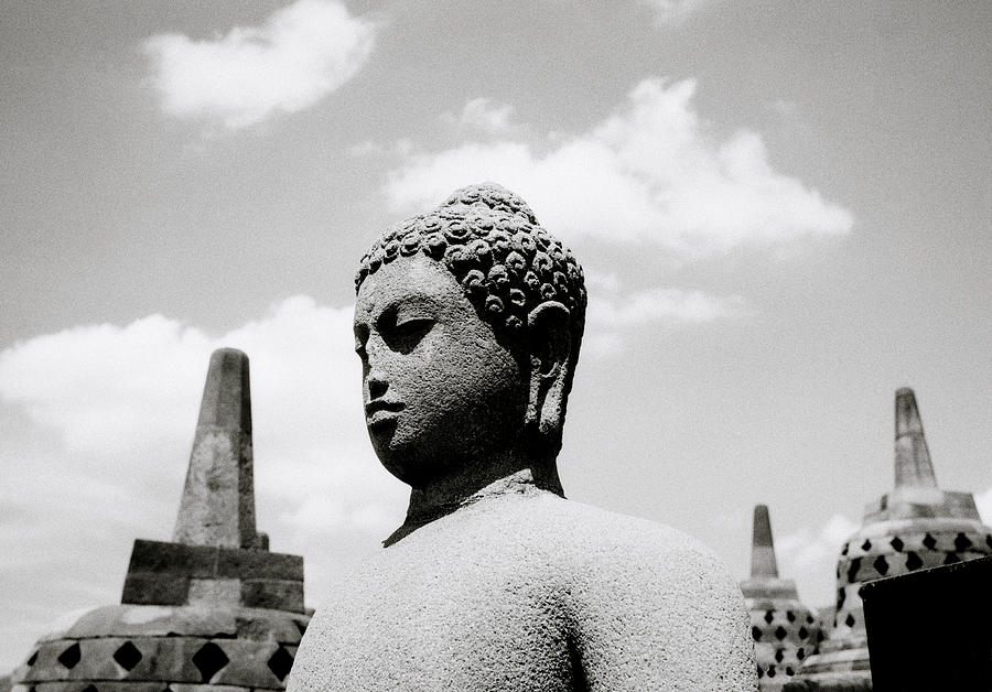 The Serene Stillness Of The Buddha Of Borobudur Photograph by Shaun Higson
