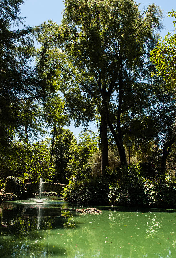Garden Photograph - Seville - Park Maria Luisa #1 by AM FineArtPrints