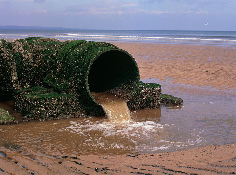 North Sea Photograph - Sewage Outlet Pipe Discharging Onto Beach #1 by Simon Fraser/science Photo Library