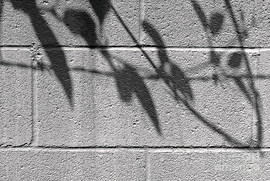 Shadow No.112 Photograph by Fei A