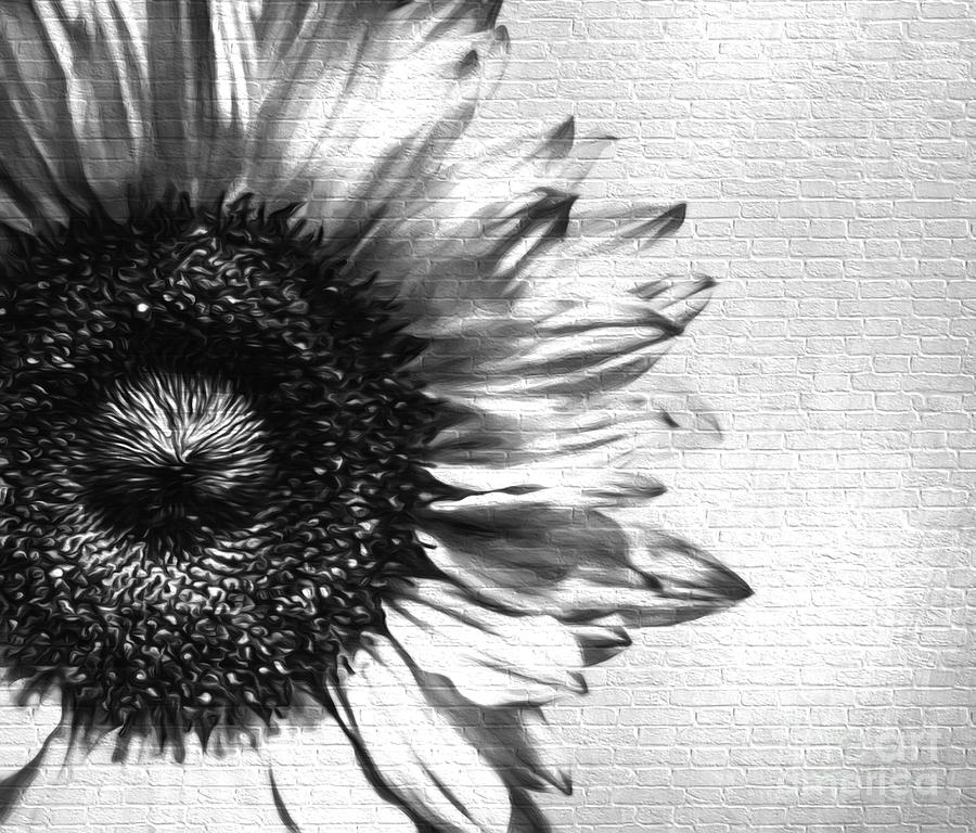 Sunflower Digital Art - Shadow of a Sunflower #1 by KJ DeWaal