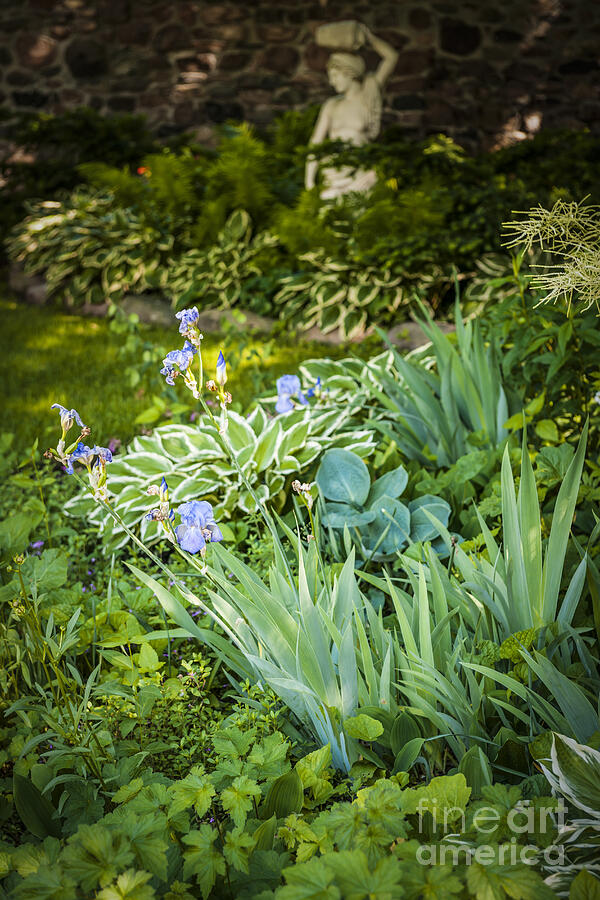 Shady garden 1 Photograph by Elena Elisseeva Shady garden 1 Photograph by Elena Elisseeva