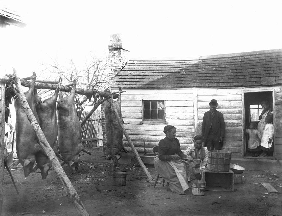 Sharecropper Family, 1900 #1 Photograph by Granger