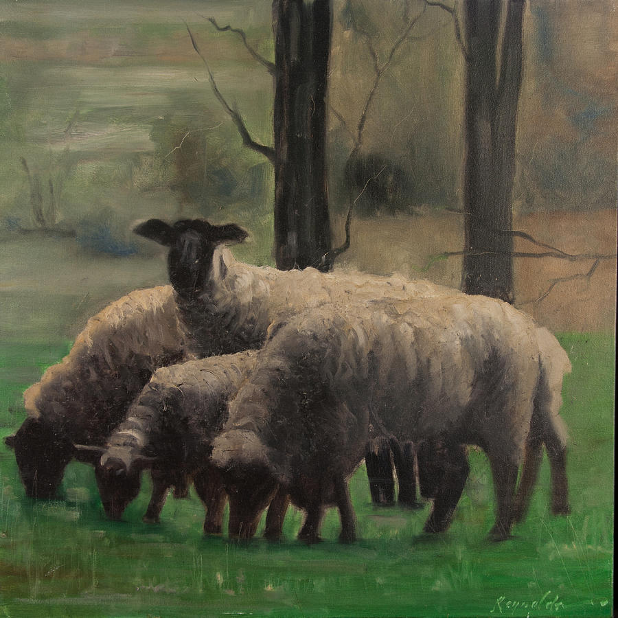 Animal Painting - Sheep Family #1 by John Reynolds