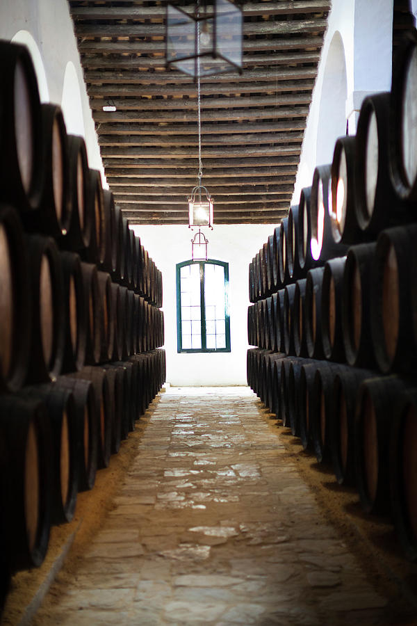 Sherry Casks In A Winery, Gonzalez #1 Photograph by Panoramic Images