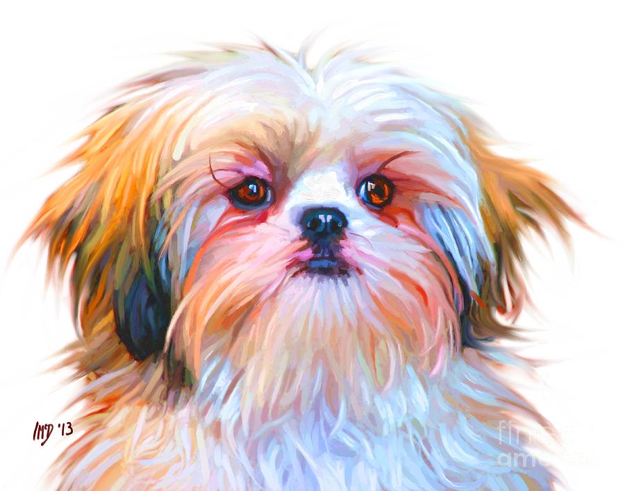 Dog Painting - Shih Tzu Painting #1 by Iain McDonald