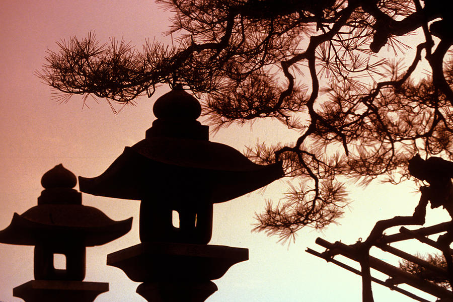 Shinto Shrine In Tokyo Photograph