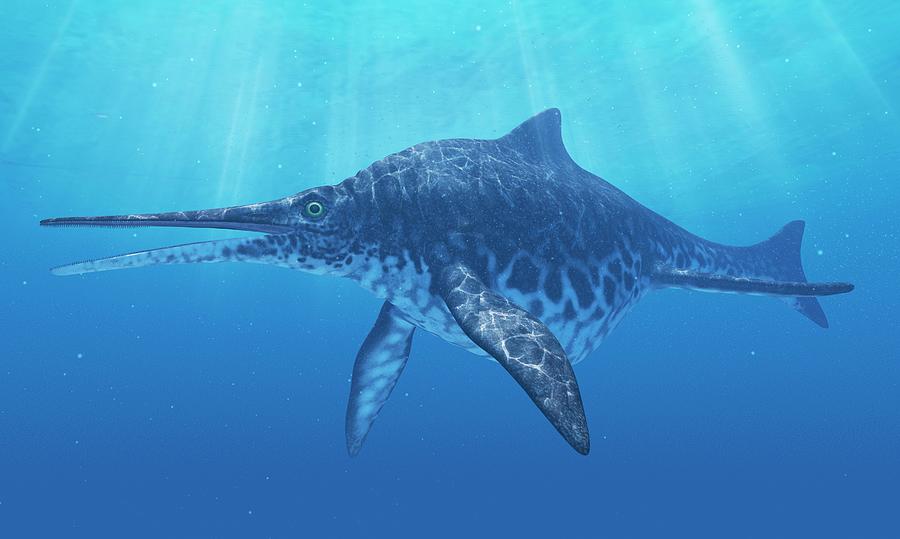 Shonisaurus Marine Reptile #1 Photograph by Sciepro/science Photo Library