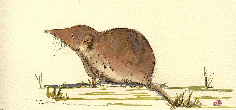 Mouse Painting - Shrew #1 by Juan  Bosco