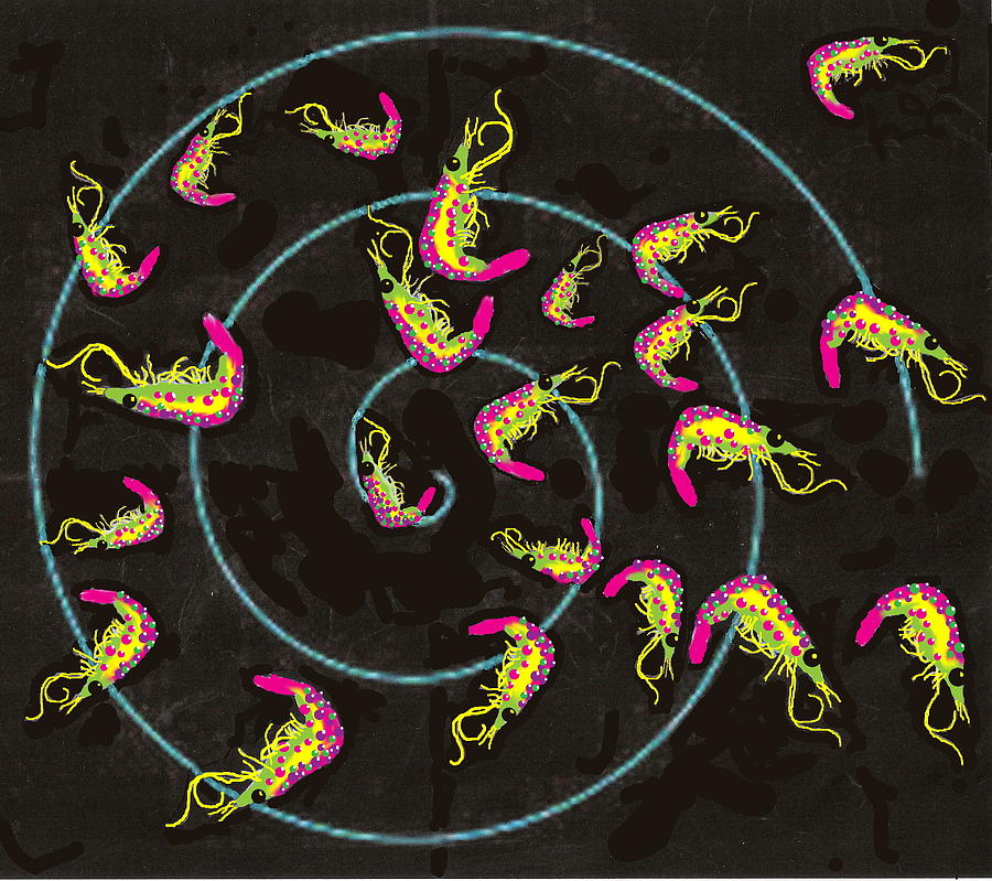 Shrimp Fractals Run Amuk #1 Digital Art by R  Allen Swezey