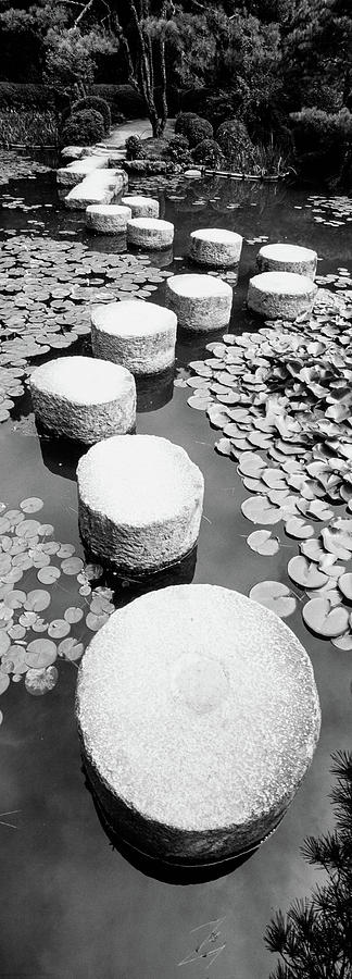 Shrine Garden, Kyoto, Japan #1 Photograph by Panoramic Images