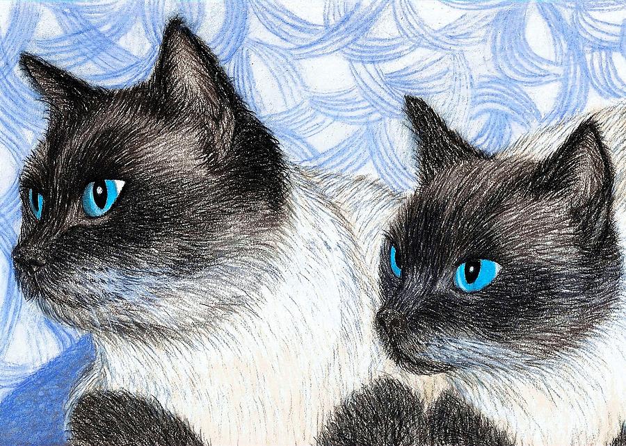 Siamese Cats #1 Drawing by Jo Prevost