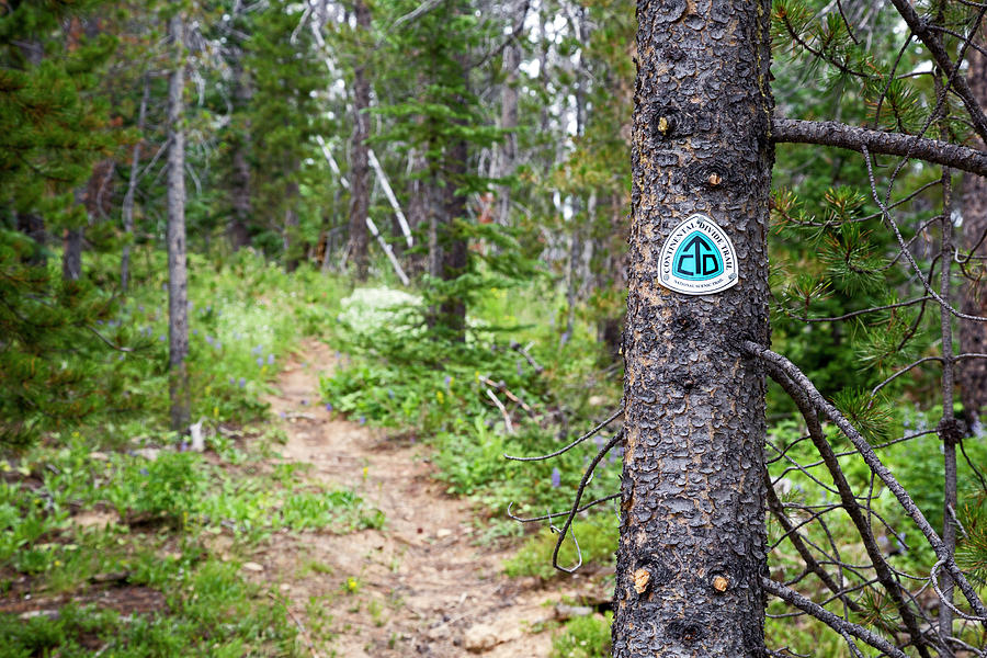 Sign On Continental Divide Trail #1 Photograph by Jim West