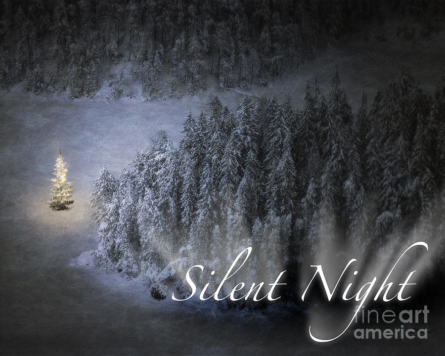 Silent Night #1 Photograph by Edmund Nagele FRPS