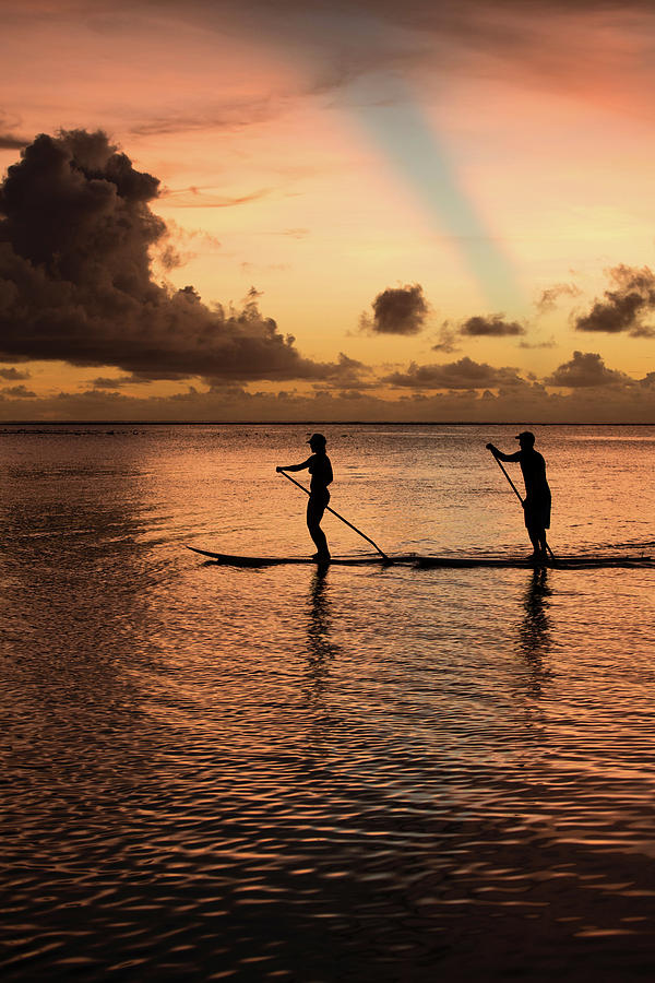 Silhouette Of People Paddleboarding #1 Photograph by Panoramic Images