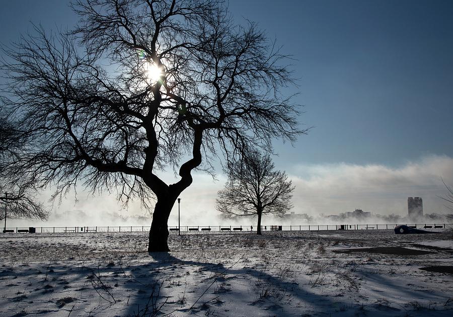 Silhouetted Tree In Winter #1 Photograph by Jim West