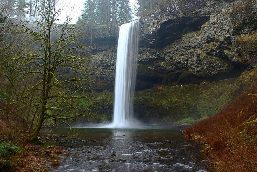 Winter Photograph - Silver Falls in Winter #1 by Mark Woodward