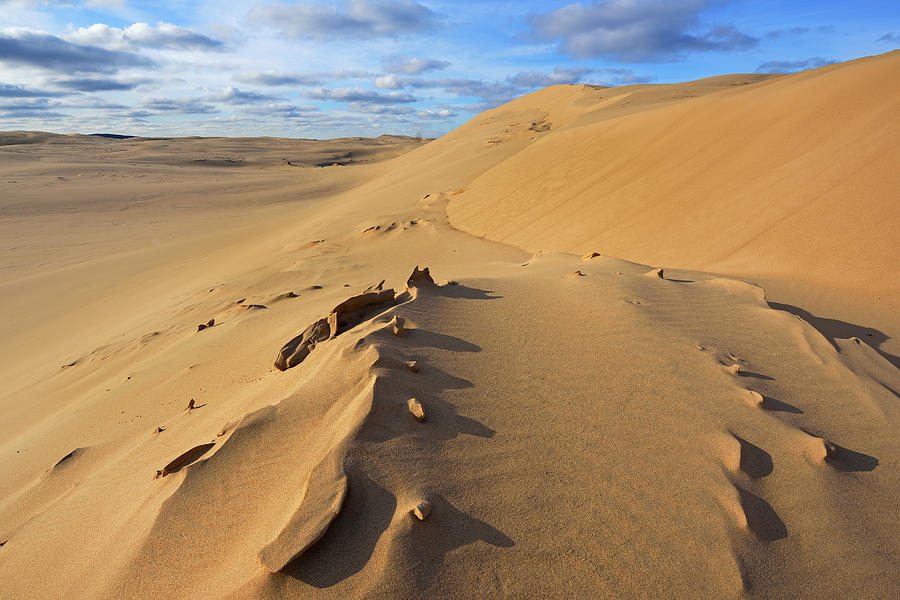 Silver Lake Sand Dunes Photograph By Dean Pennala Fine Art America   1 Silver Lake Sand Dunes Dean Pennala 