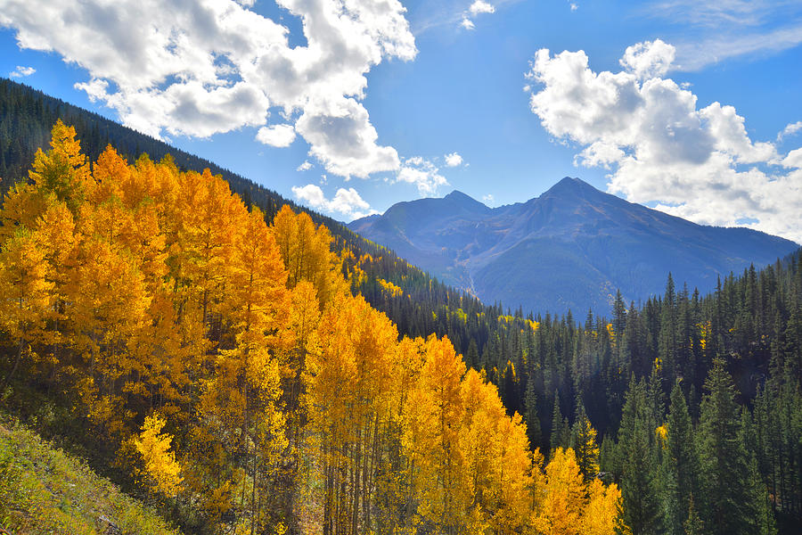 Silverton Fall Colors #2 Photograph by Ray Mathis
