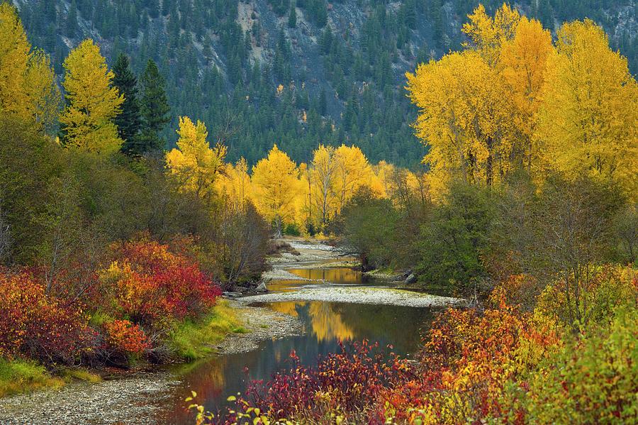 Similkameen River In Autumn Photograph by David Nunuk/science Photo ...