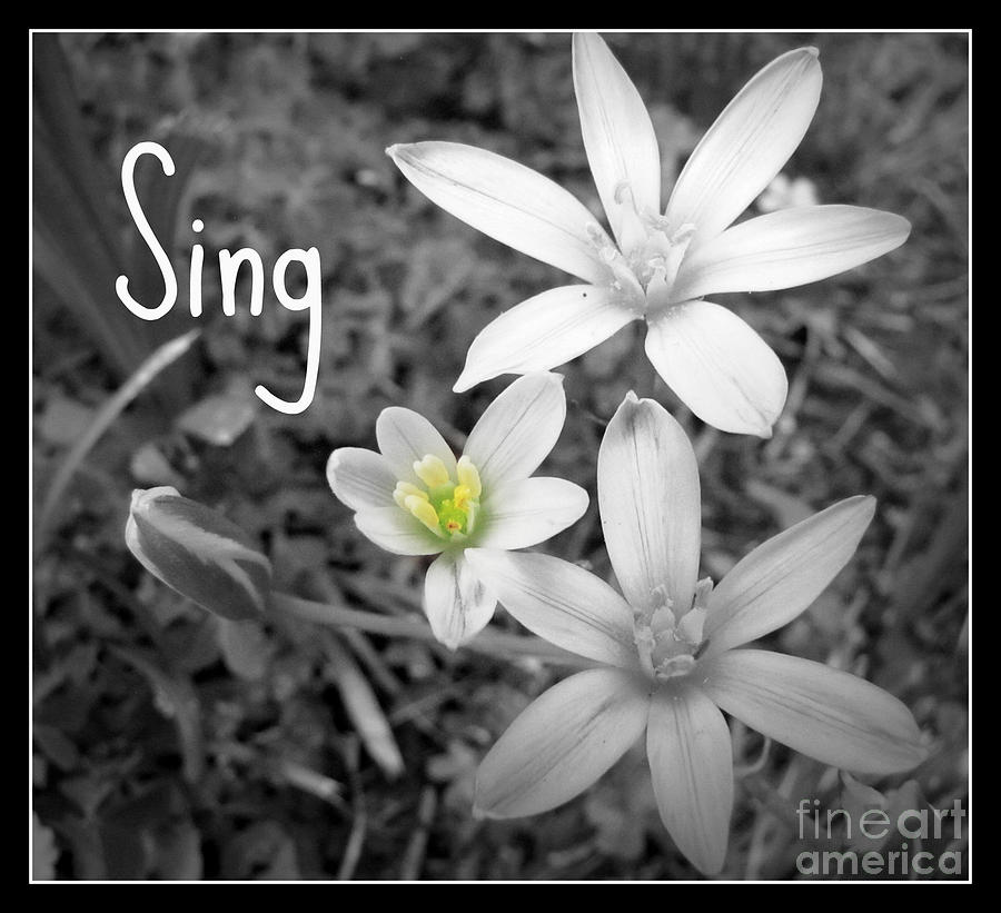 Black And White Photograph - Sing by Nancy Dole McGuigan