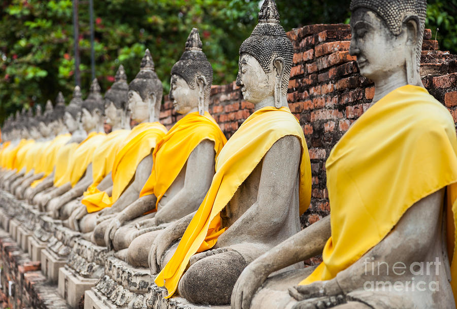 Buddha Photograph - Sitting Buddhas #1 by Fototrav Print