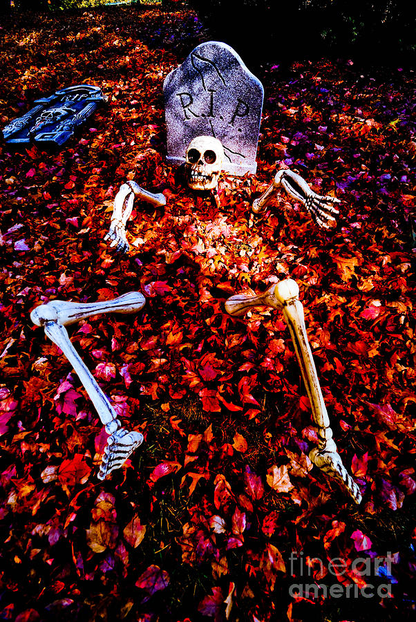 Halloween Photograph - Skeleton Rising from the Dead #1 by Amy Cicconi