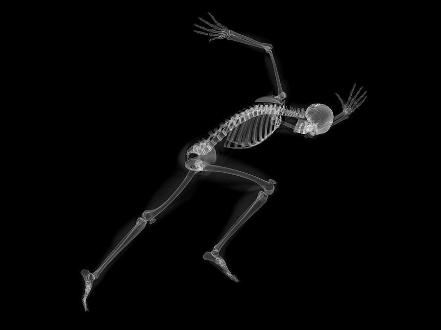 Skeleton Sprinting #1 Photograph by Sciepro/science Photo Library