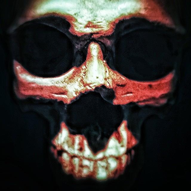 2 Photograph - Skull #2 #1 by Casey Asher