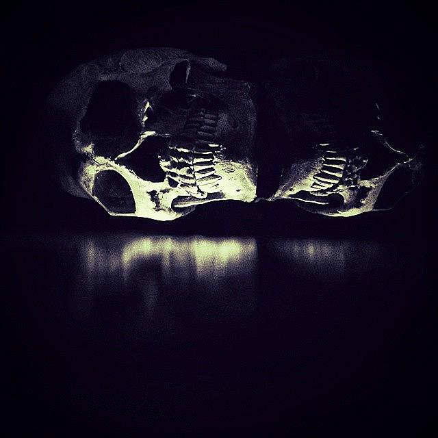 Skull Photograph - #skull #3 #1 by Casey Asher