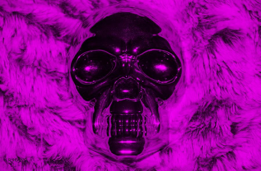 SKULL in PURPLE #1 Photograph by Rob Hans