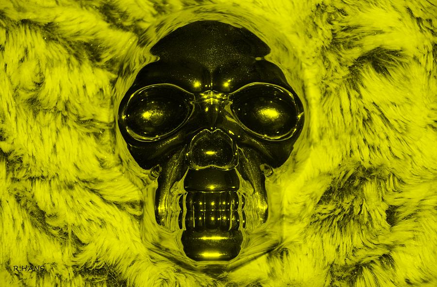 SKULL in YELLOW #1 Photograph by Rob Hans