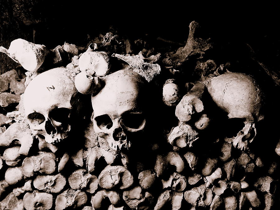 Skulls And Bones In The Catacombs Of Paris France #1 Photograph by Rick Rosenshein