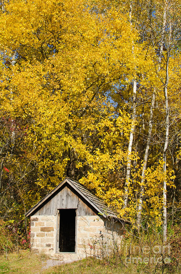 Small Cabin In Natural Bridge State Park Photograph By Ralf Broskvar