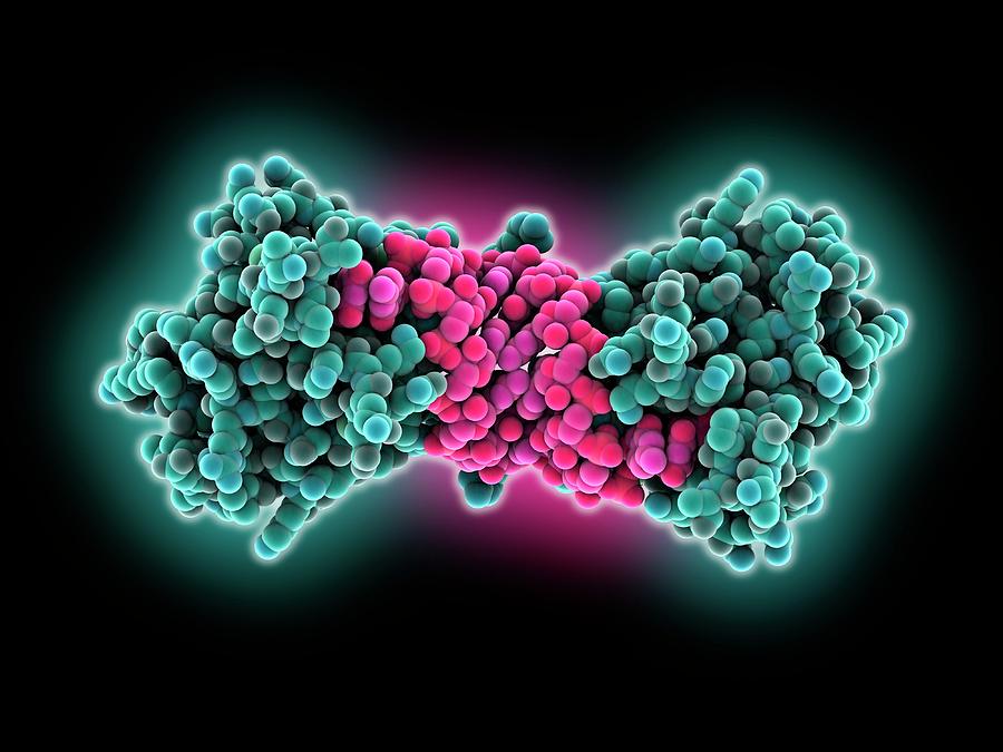 small-interfering-rna-complex-photograph-by-laguna-design-science-photo