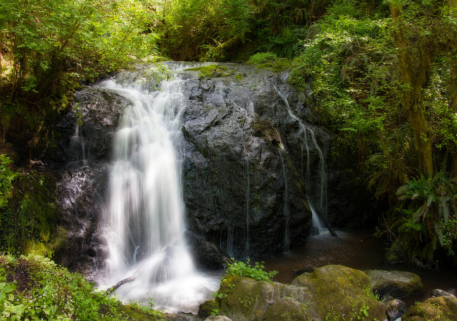 Waterfall Photograph by Mark Alder
