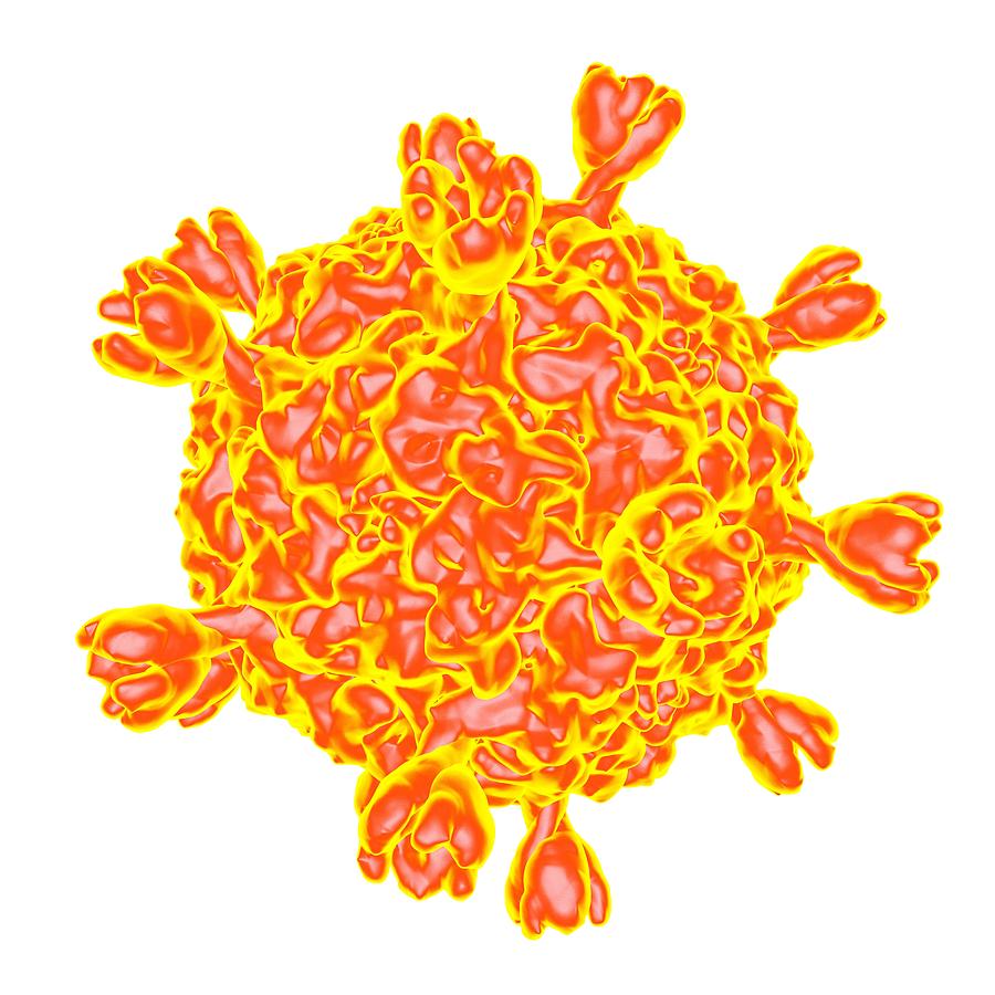 Smallpox Virus #1 Photograph by Mehau Kulyk
