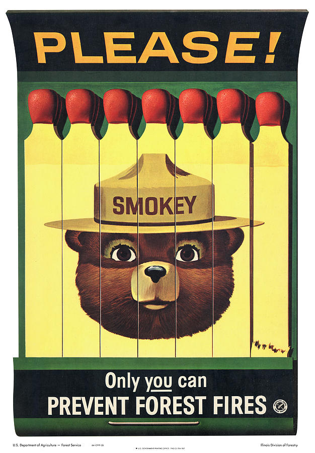Smokey Digital Art by Gary Grayson