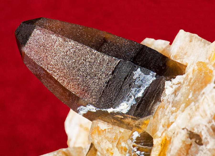 Smokey Quartz Crystal On Microline #1 Photograph by Millard H. Sharp