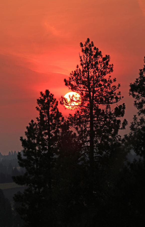 Smokey Sunrise Photograph by E Faithe Lester