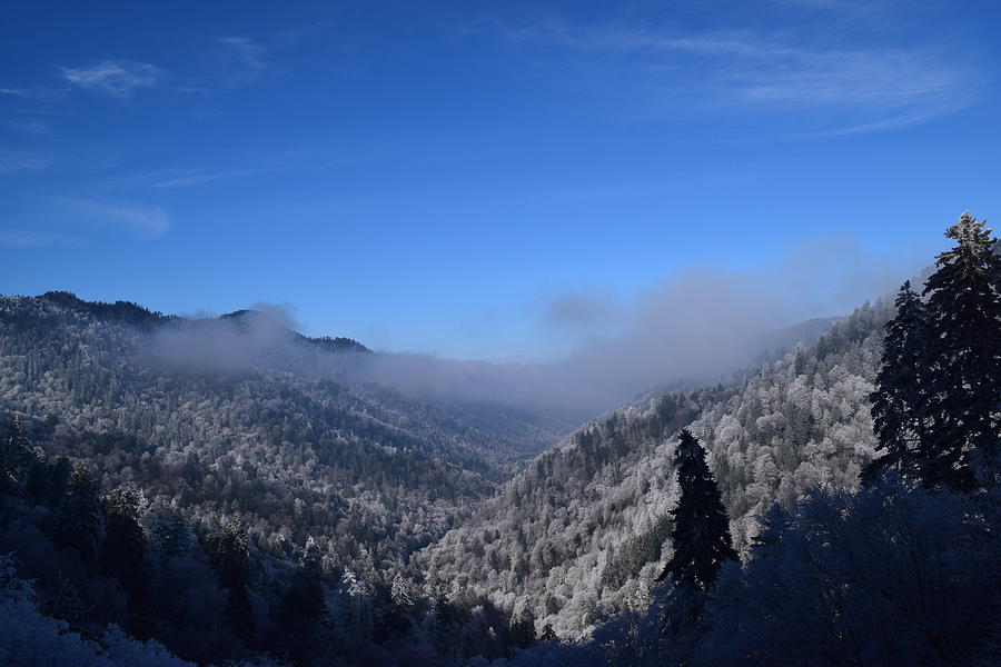 Smoky Mountain Snow #1 Photograph by Curtis Krusie